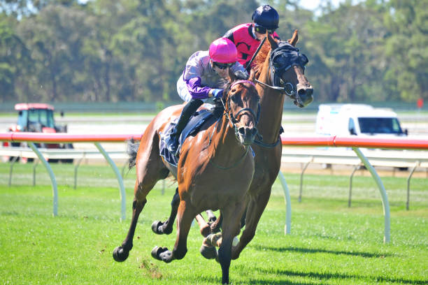 得分王之争白热化！虎扑网友预测本赛季最终归属