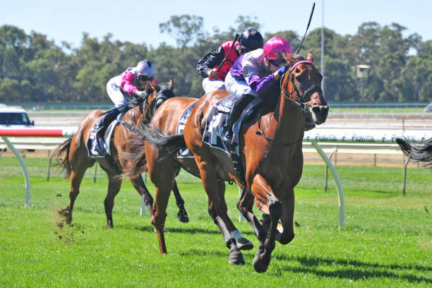 篮球比赛中的非法掩护:规则解读与判罚实例