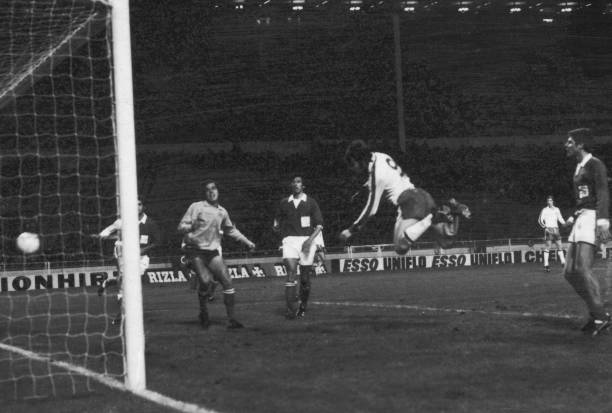 史中超教授最新动态:受邀担任国际学术组织顾问