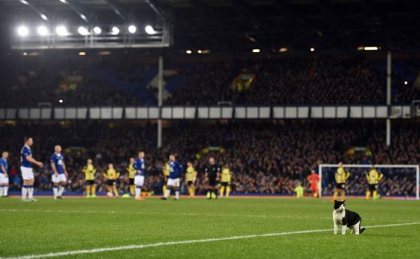 德甲上赛季积分榜全览:欧战席位与降级球队一览无余