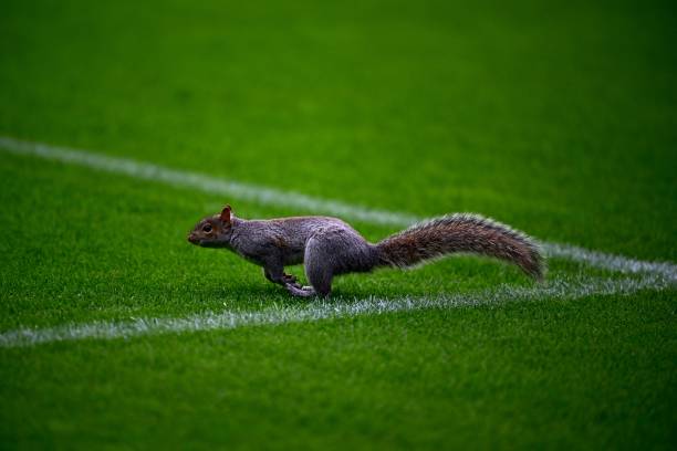 德甲保级大战实时比分:谁将逃离降级区?