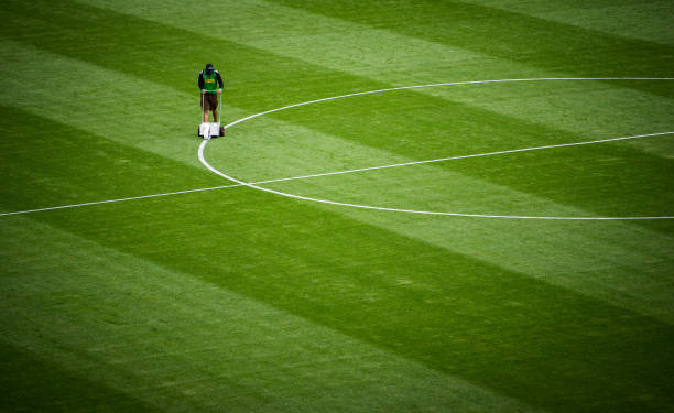 澳大利亚足球联赛(A联赛)水平如何?能否培养顶级球员?