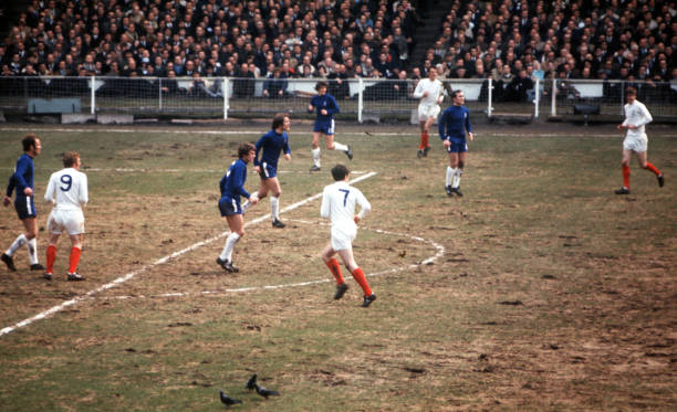 哈兰德vs其他球星：颜值与实力的双重较量