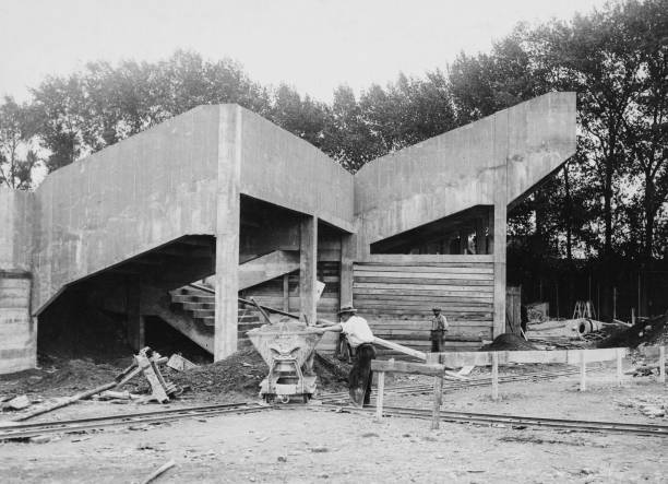 技术解析：花样游泳中的托举、旋转与造型