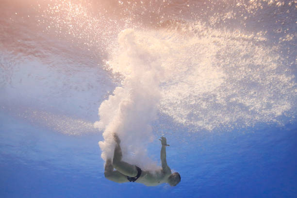 郭晶晶的面相分析:传统相术如何解读她的婚姻与家庭运势?