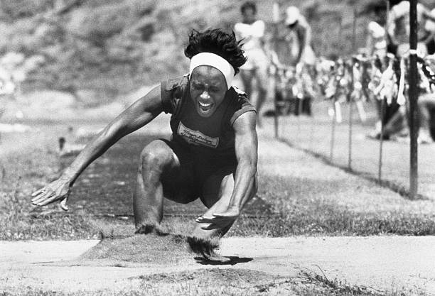 小乌龟的冠军梦:坚持就是胜利