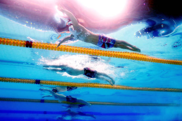 自由泳手的几种常见划水方式详解