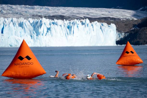 游泳拼音学习:从基础到进阶