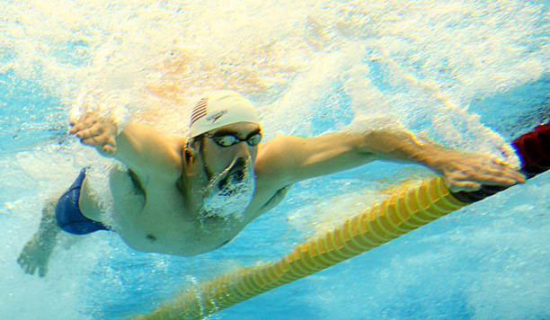 孙杨自由泳生涯回顾:从初出茅庐到世界冠军的蜕变