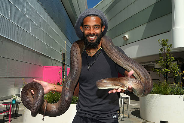 张之臻澳网之旅:中国男单新纪录正在酝酿