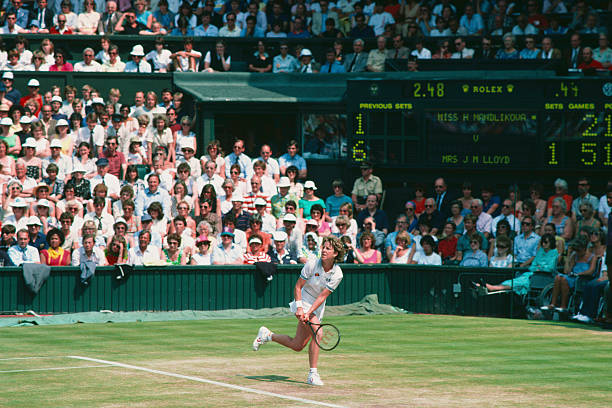 全球粉丝现象:网球之王的文化影响力