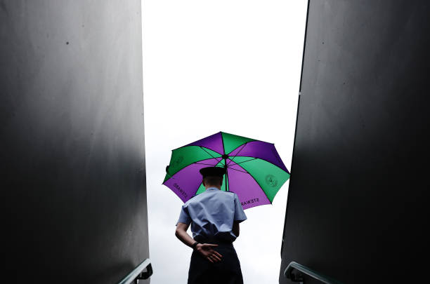 新生代崛起:沙波瓦洛夫与贝雷蒂尼的温网突破之旅